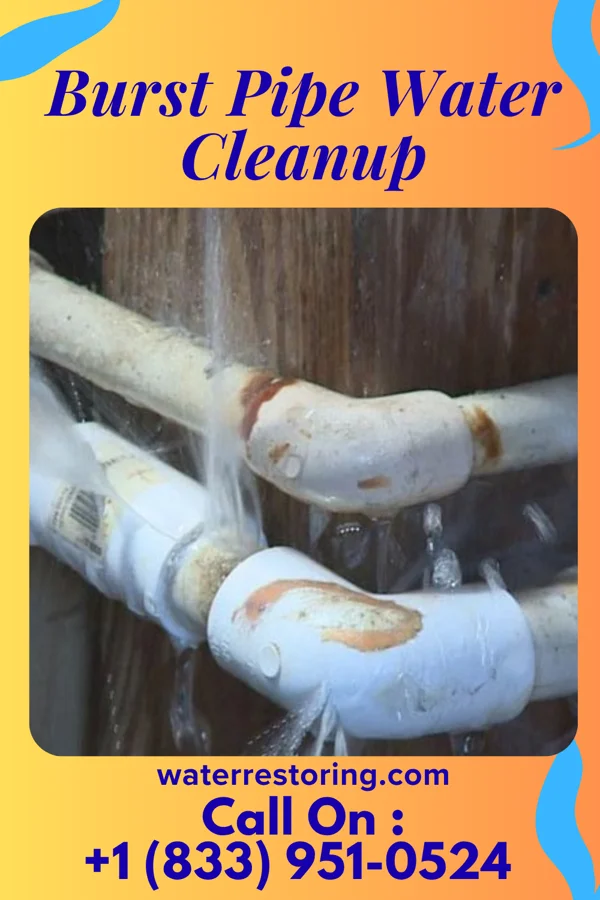 Burst Pipe Water Cleanup in Thrall, TX