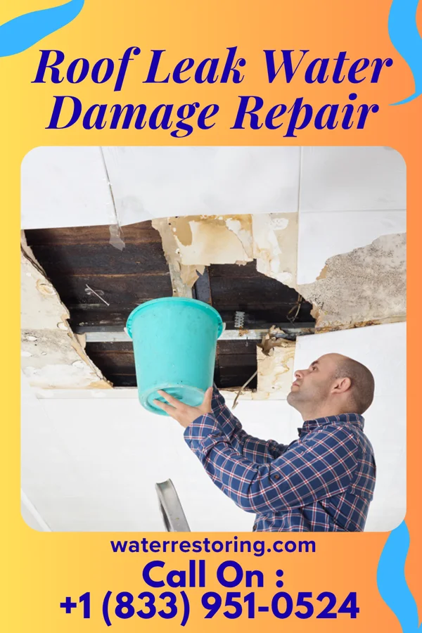 Roof Leak Water Damage Repair in Thrall, TX